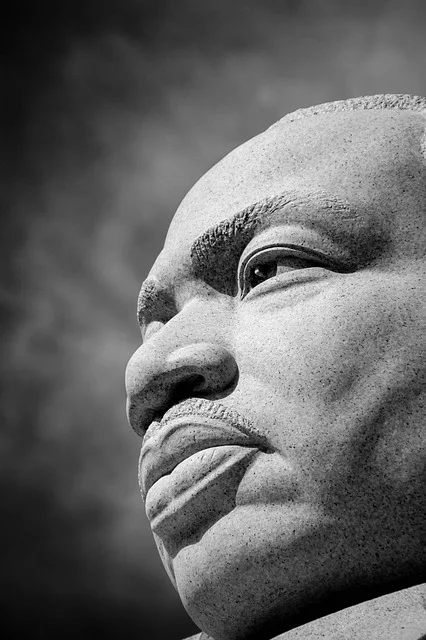 mlk monument. alert1 medical alert systems